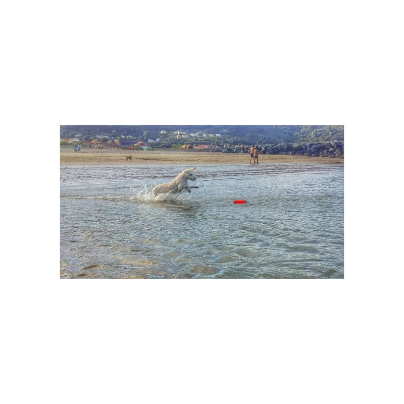 Hračka Chuckit! Amphibious Bumper S 5