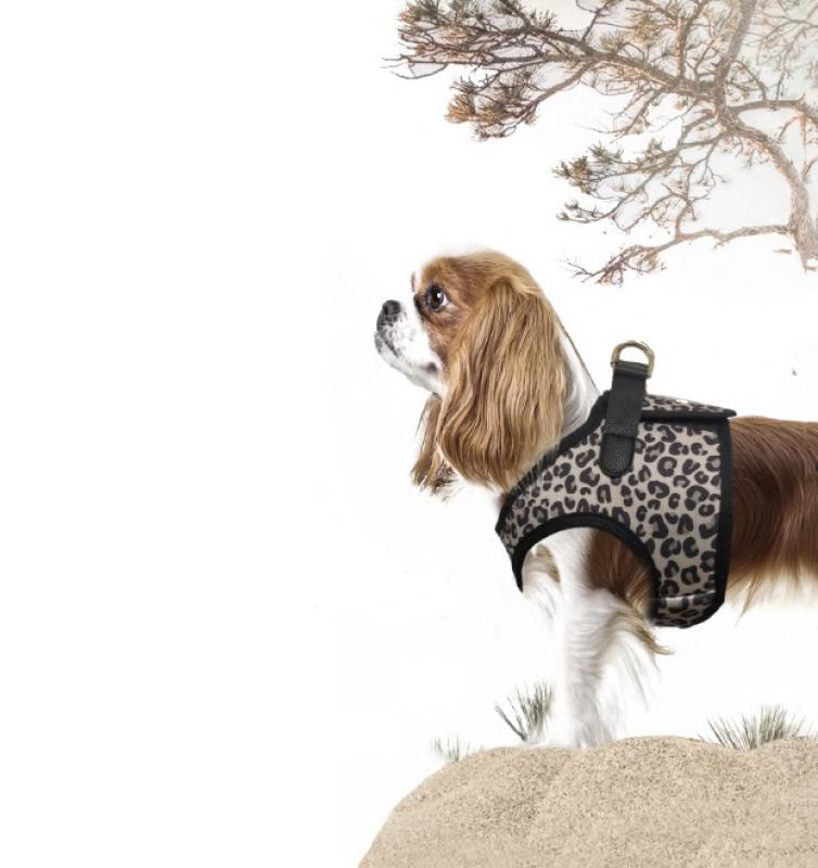 Postroj Zendaya 54 1