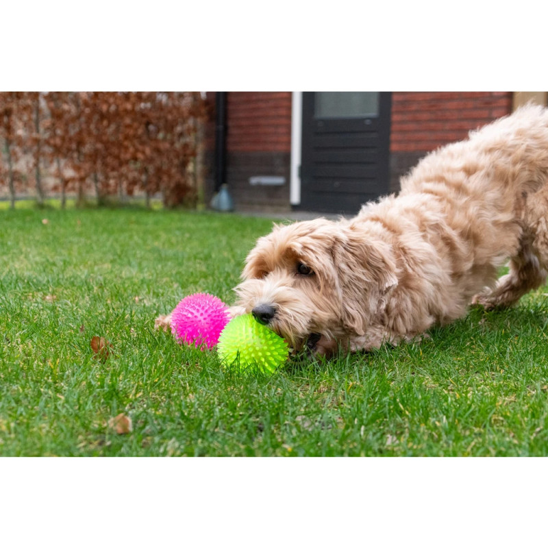 Loptička Dog Comets Exoplanet Spiky Ball S Green 2