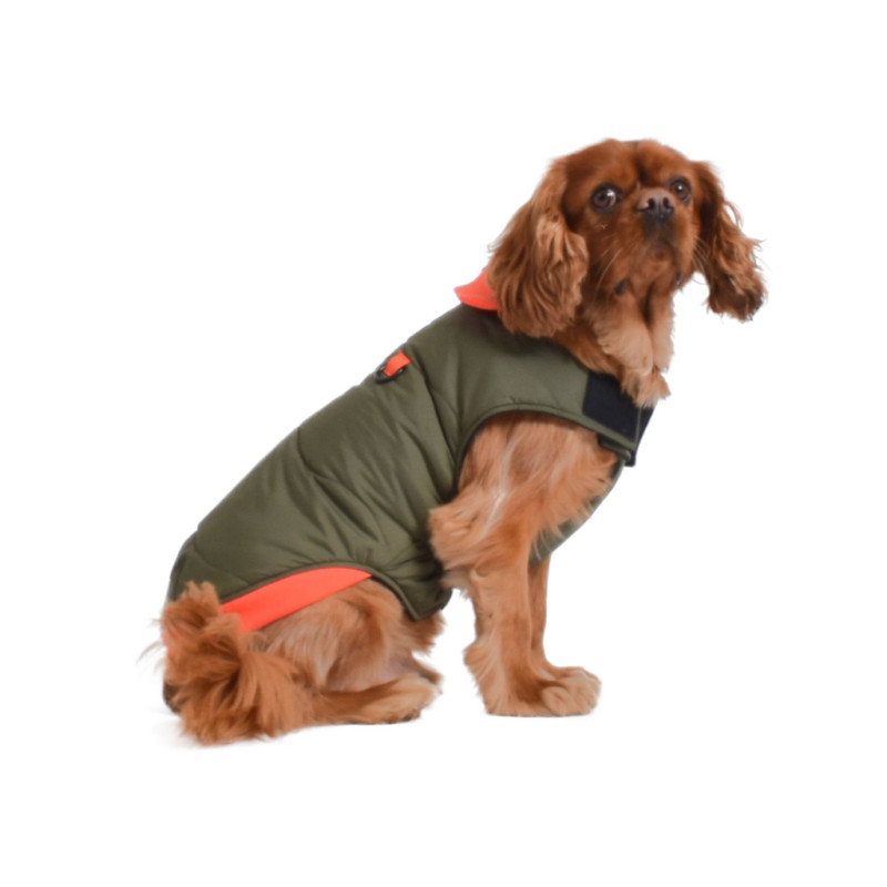 Bunda Contraste 52XL 1