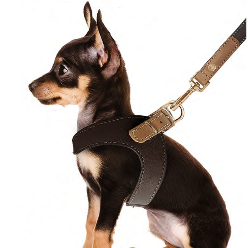 Postroj Vendôme Brown Caramel T4 1