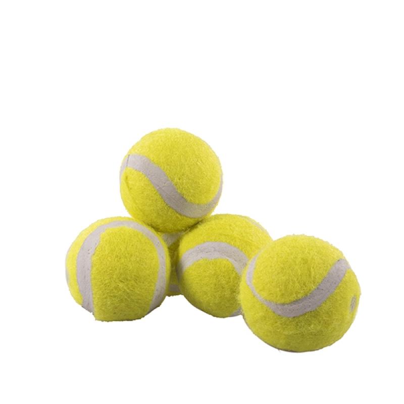 Loptičky Mini Assorted Tennis Balls 5 ks
