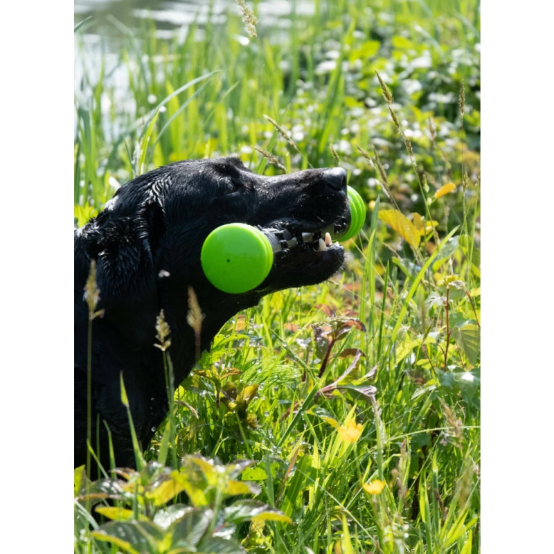 Aportovacia tyč Dog Comets Meteor Throwing stick Green S 3