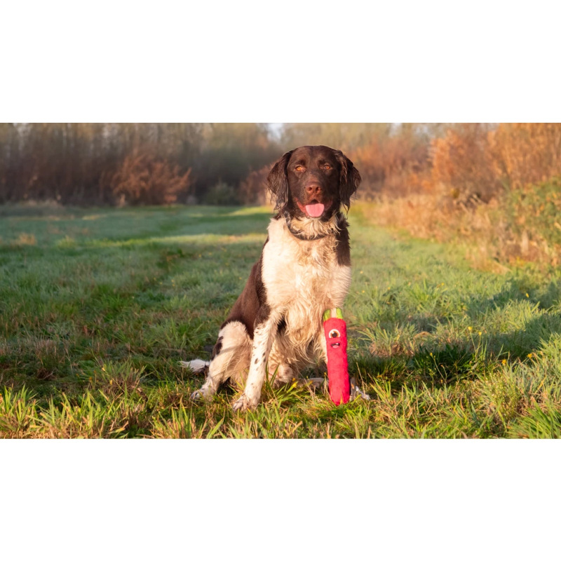 Hračka Dog Comets Invaders Pink M 2