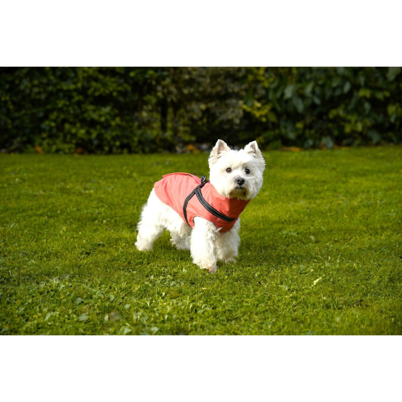 Bunda Tom Coral 36M 2