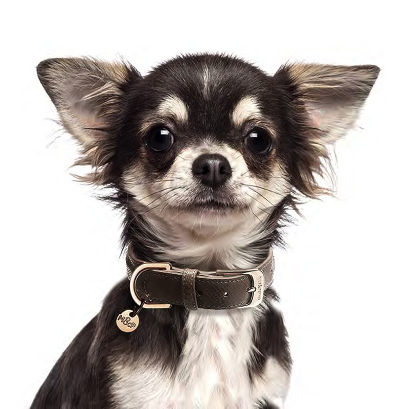 Obojok Pogona Brown 45 1