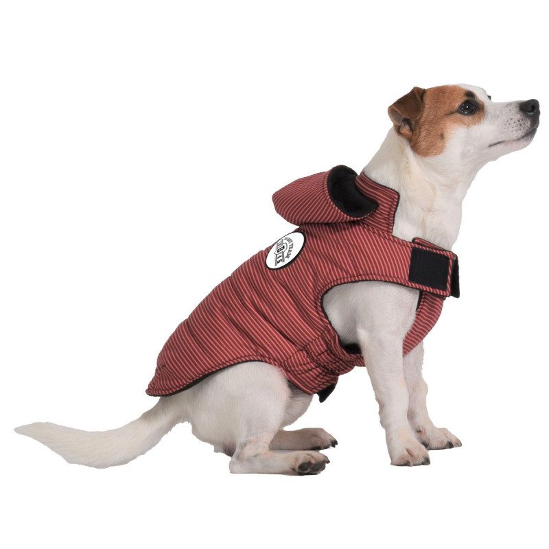 Bunda Rayé Bordeaux 44L 1