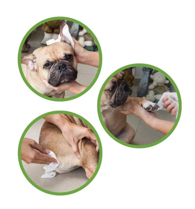 Vlhké vreckovky Gill's White Aloe and Chlorhexidine 2