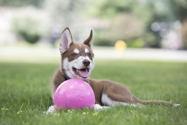 Nadrozmerná lopta Jolly Ball Bounce-n Play Pink 15 cm