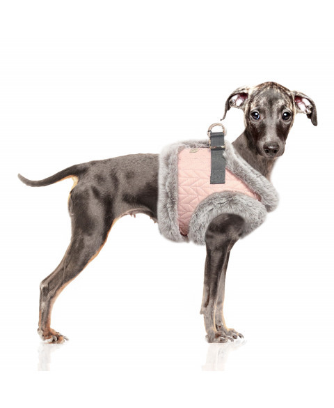 Postroj Janette 32 1