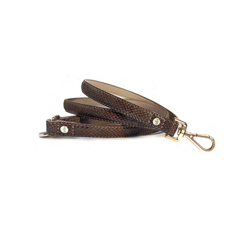 Vôdzka Pogona Brown