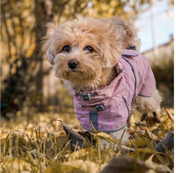 Pršiplášť Hiking City Pink M 1