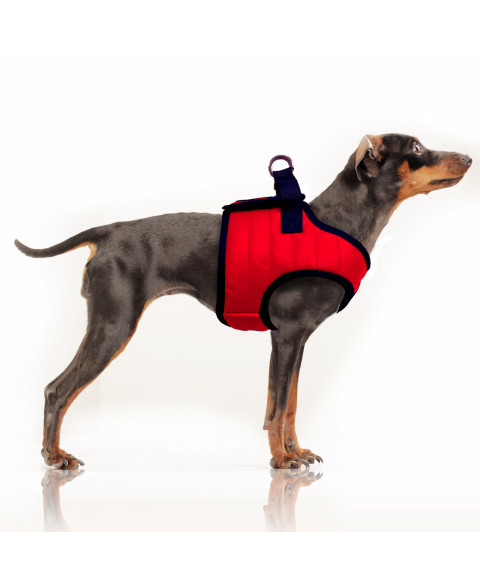 Postroj Nautic Red 47 1