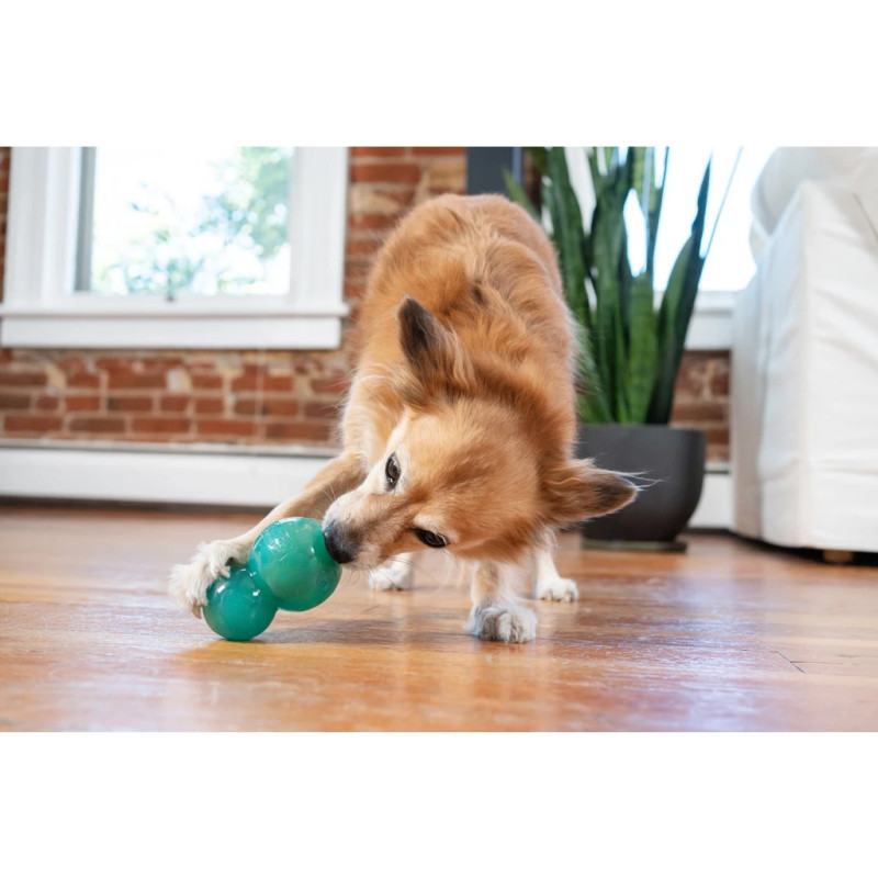 Hračka Outward Hound Double-Tuff M Blue 5