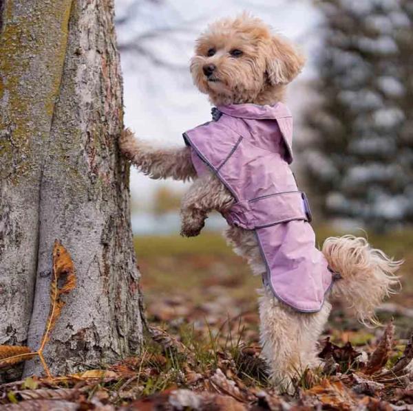 Pršiplášť Hiking City Pink M 2