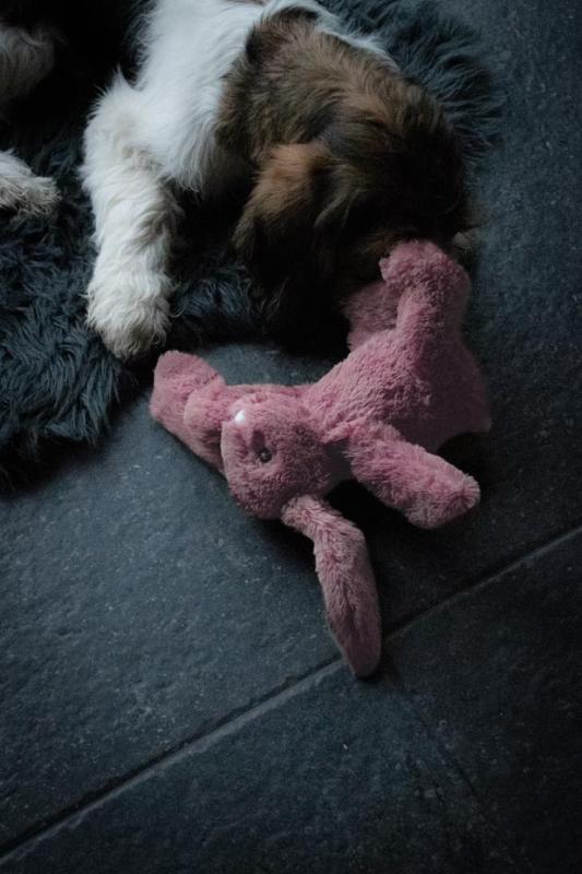 Hračka Cozy Dog Bunny Pink