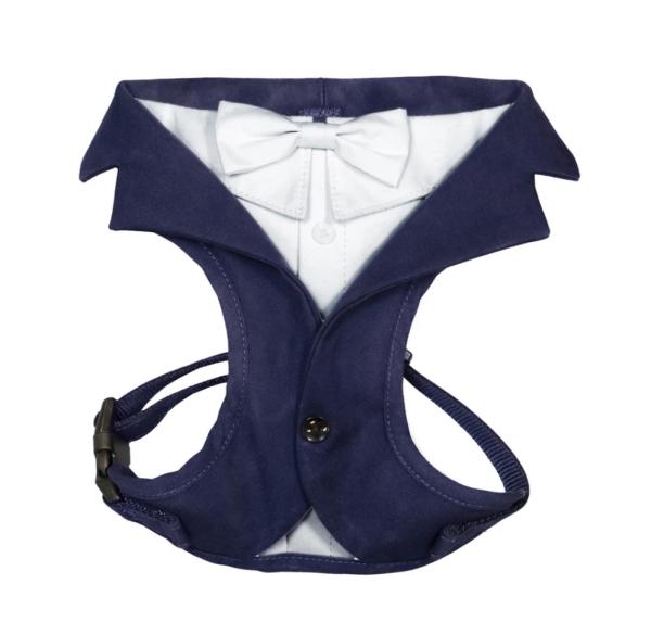 Slávnostný postroj Groom Blue L