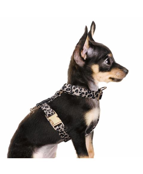 Postroj H Kenya 35H 1