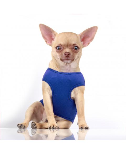 Tričko Zoe Blue 41 1