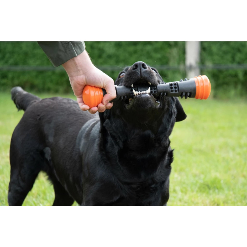 Aportovacia tyč Dog Comets Meteor Throwing stick Orange L 3