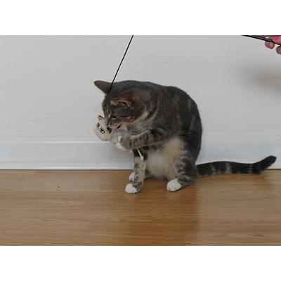Udica Grumpy Cat Wand
