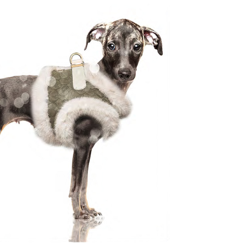 Postroj Clarice 44 1