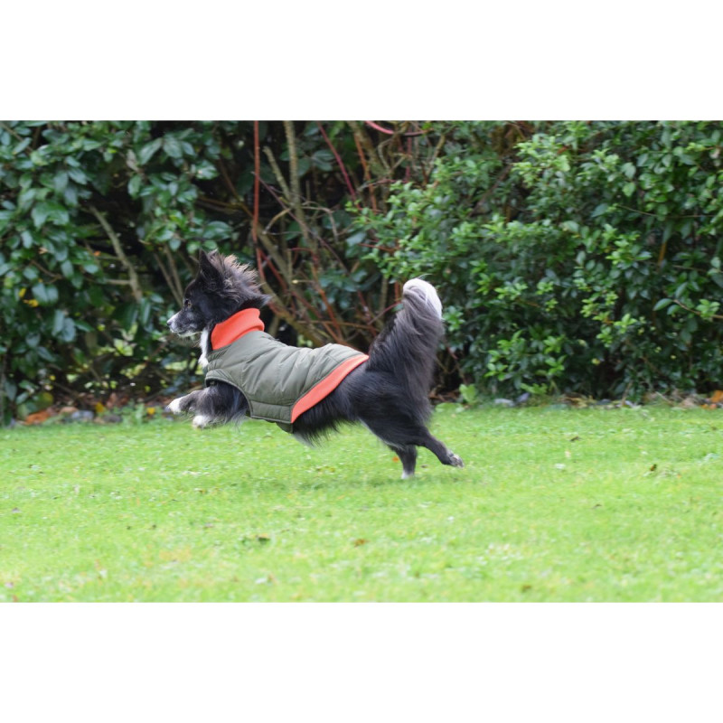 Bunda Contraste 34S 2