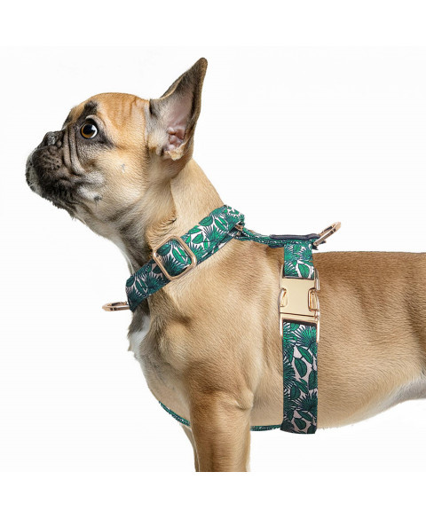 Postroj Marisa 35H 2