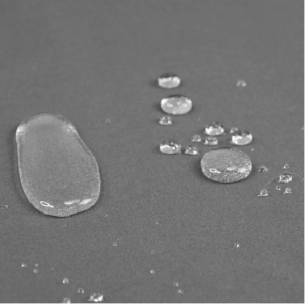 Pelech Revenant Ellipse 1