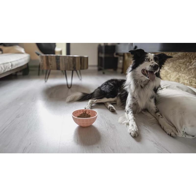 Miska a olizovacia podložka v jednom Eat Slow Live Longer Lick Mat Wobble Bowl Pink