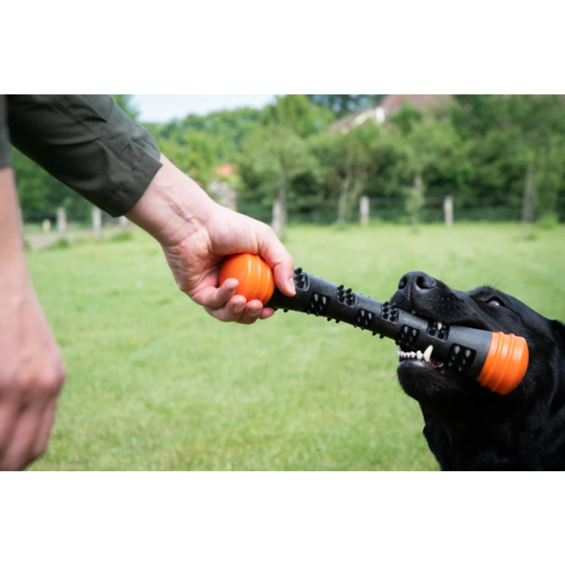 Aportovacia tyč Dog Comets Meteor Throwing stick Orange L 2