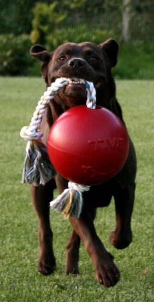 Nadrozmerná lopta s povrazom Jolly Ball Romp-n-Roll Red 15 cm