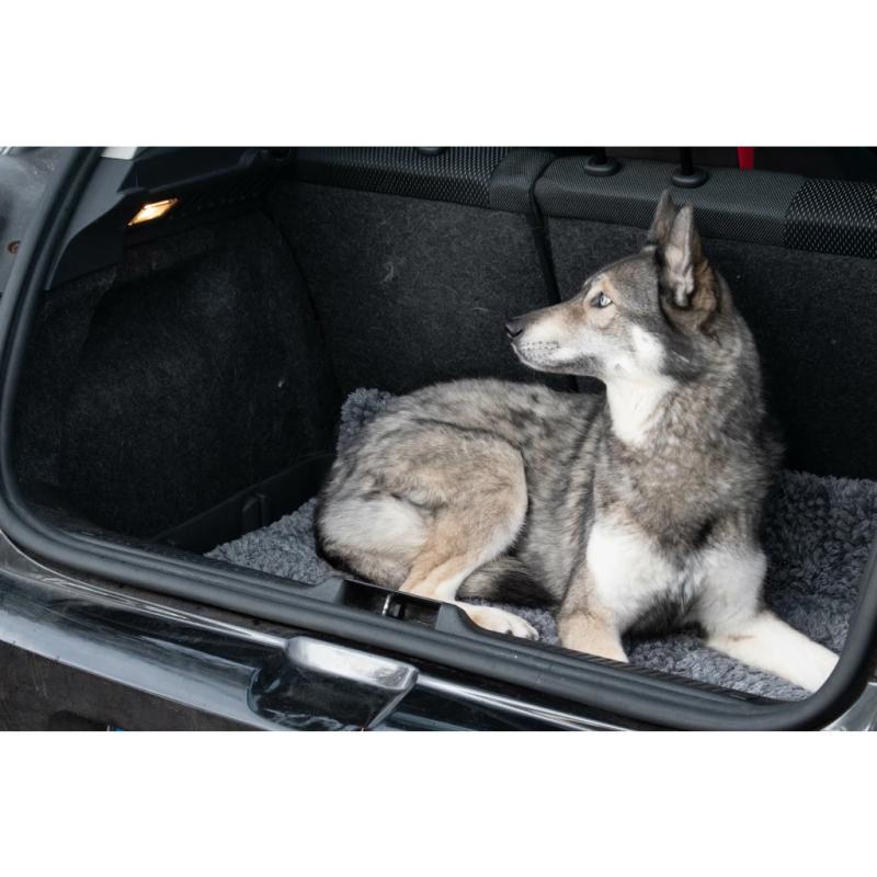 Podložka/rohož Royal Dry Doormat L 3