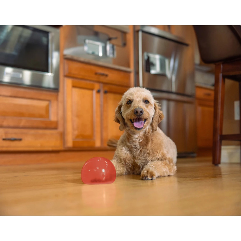 Hračka Outward Hound Orbee-Tuff Snoop S Red (Lil' Snoop) 2