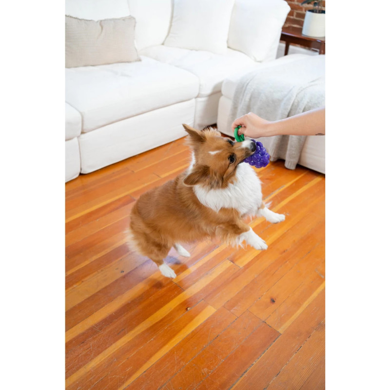 Hračka Outward Hound Dental Grapes 3