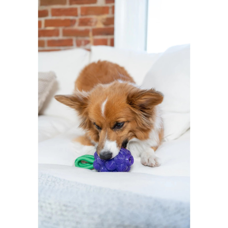 Hračka Outward Hound Dental Grapes 5