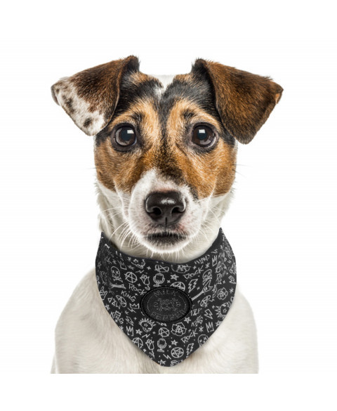 Šatka pre psa Scott 30 1