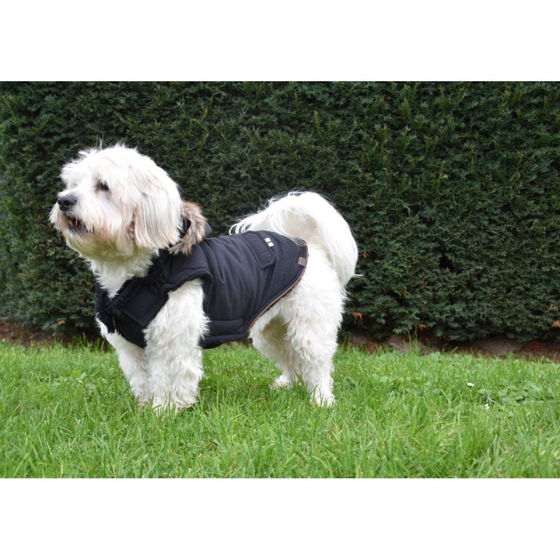 Bunda Canada Black 36M 1