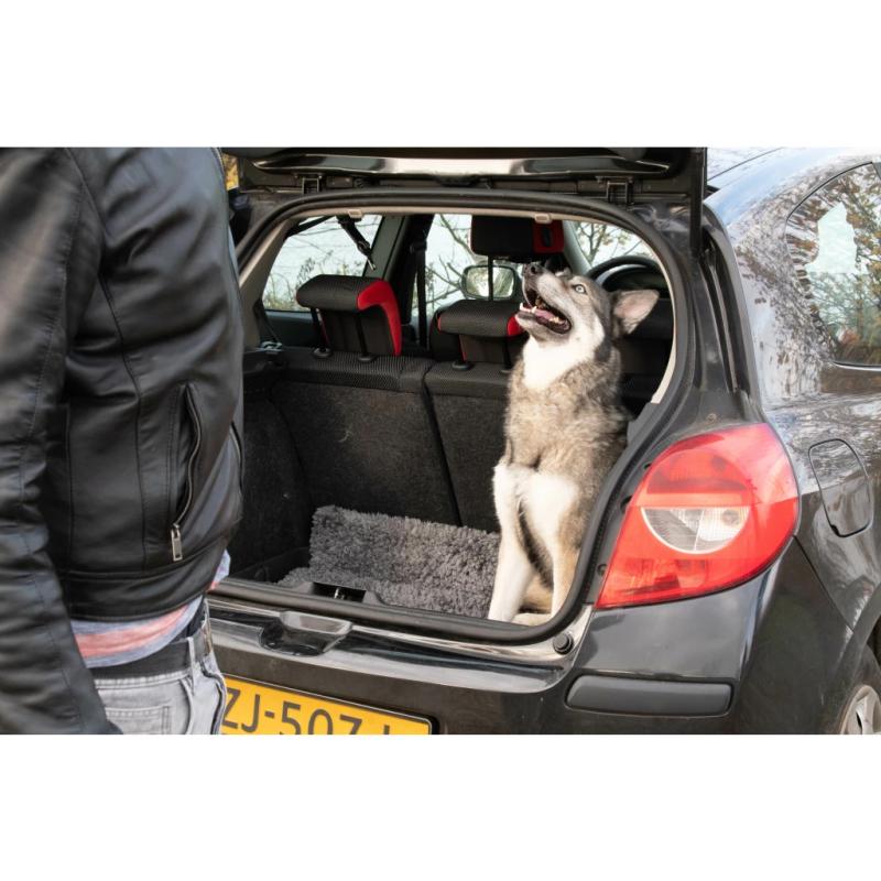 Podložka/rohož Royal Dry Doormat L 2