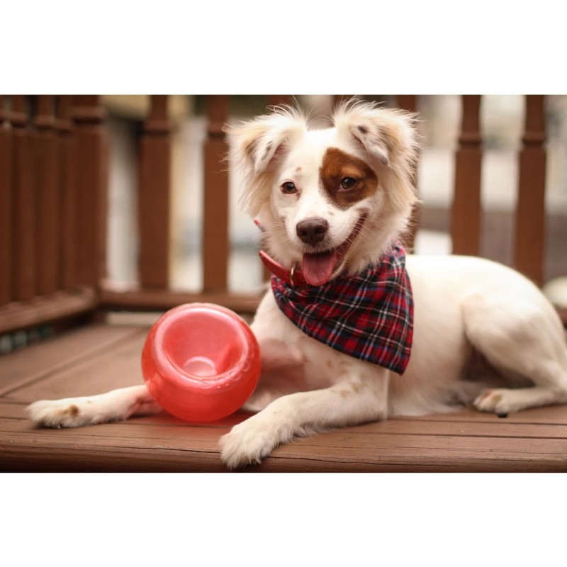 Hračka Outward Hound Orbee-Tuff Snoop S Red (Lil' Snoop) 1