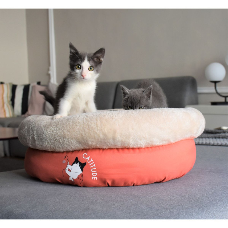 Pelech Tea Party Nest Orange 1